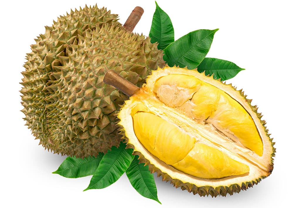 Fresh - clean durian